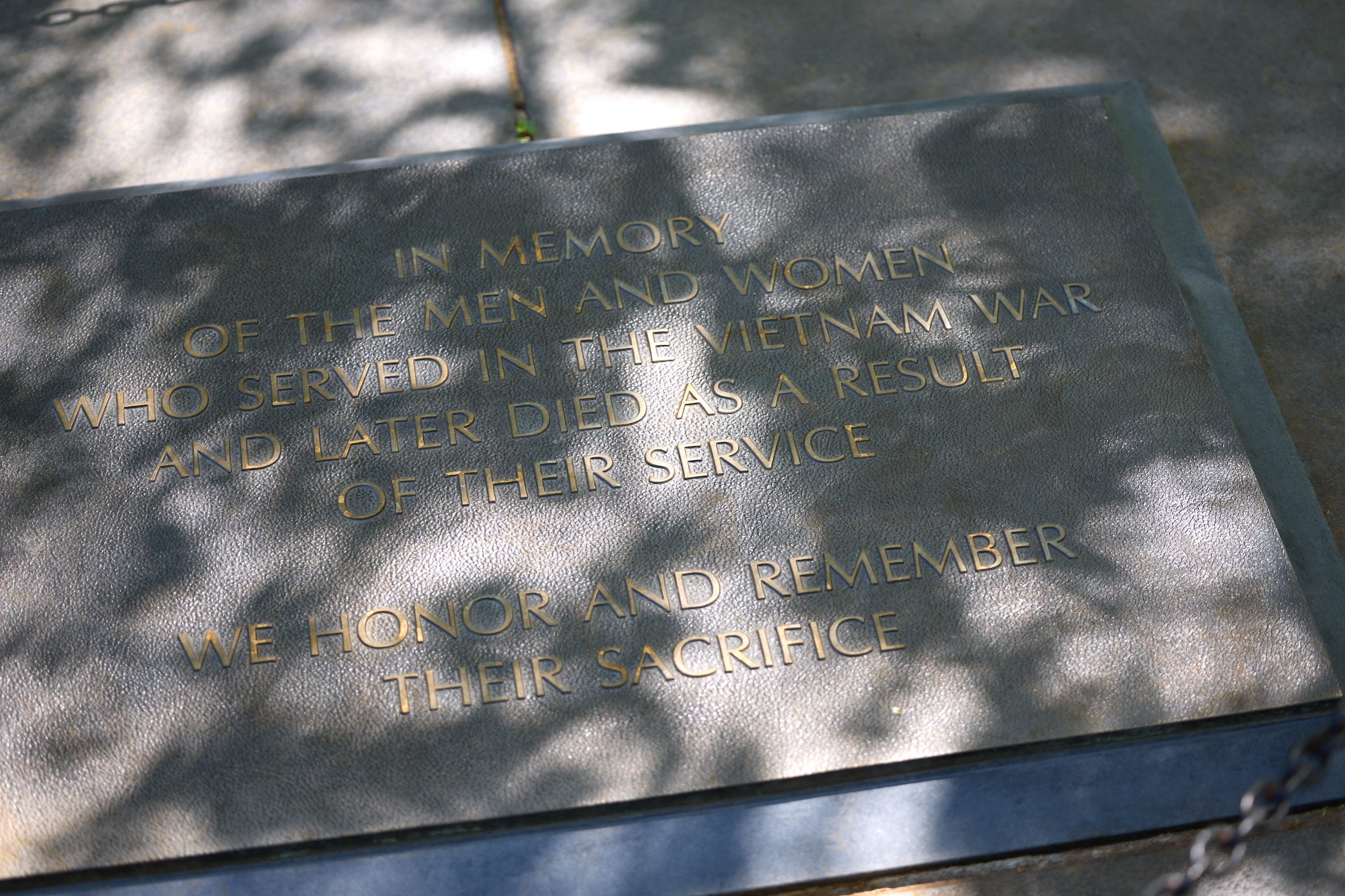 hf47__371943.jpg